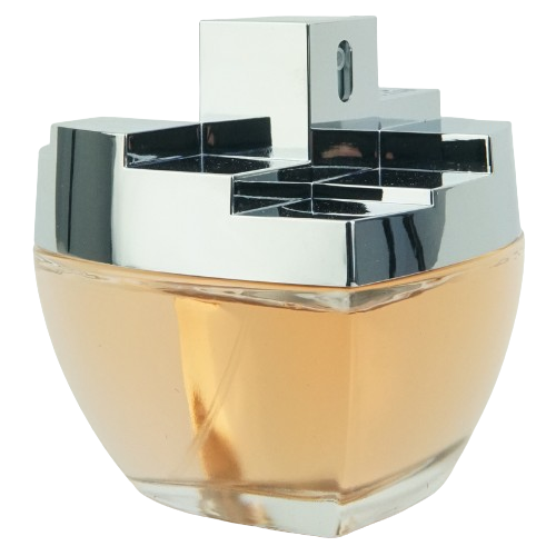 DKNY My Ny Eau De Parfum Spray 100ml (Tester)