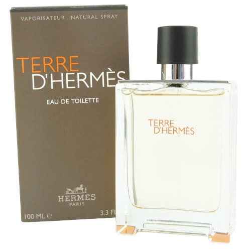 Hermes Terre D'Hermes Eau De Toilette Spray 100ml (Damage Box)