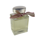 Chloe Lumineuse 100ml Eau De Parfum Spray (Demo)